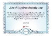 Java Spring Hibernate Certificate